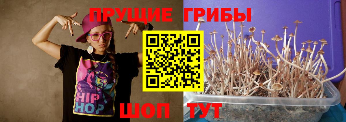 Галлюциногенные грибы Cubensis Йошкар-Ола